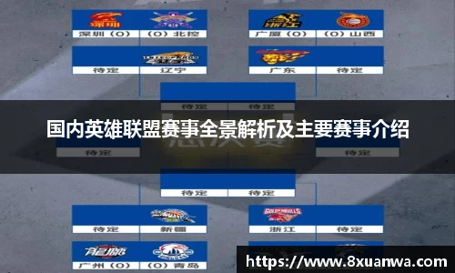 国内英雄联盟赛事全景解析及主要赛事介绍