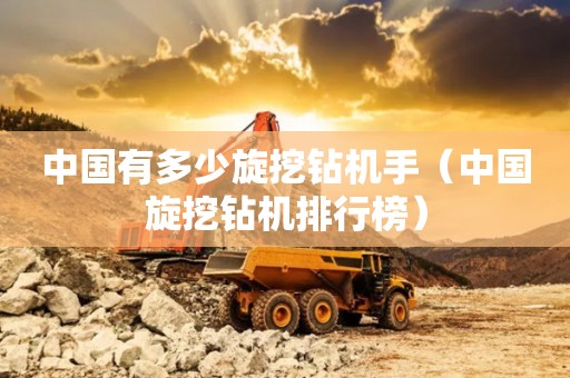 中国有多少旋挖钻机手（中国旋挖钻机排行榜）