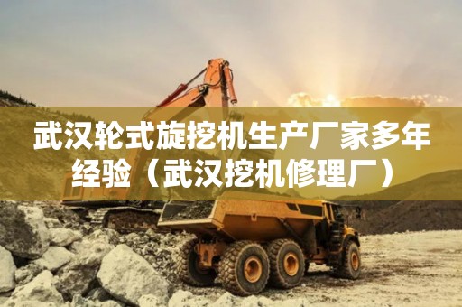 武汉轮式旋挖机生产厂家多年经验（武汉挖机修理厂）