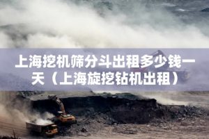 上海挖机筛分斗出租多少钱一天（上海旋挖钻机出租）