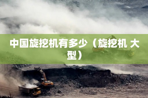 旋挖钻机维修学习，中国旋挖机有多少（有多少中国旋挖机？）插图