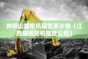 井冈山旋挖机租赁多少钱（江西旋挖钻机租赁公司）