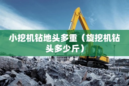 广州旋挖钻机机手培训，小挖机钻地头多重（小挖机钻地头多重啊）插图