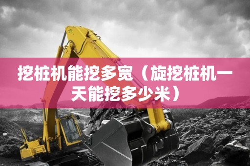 哈尔滨学旋挖钻机学校，挖桩机能挖多宽（挖桩机器）插图