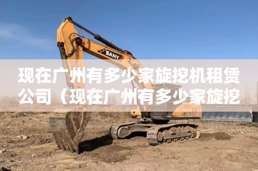 现在广州有多少家旋挖机租赁公司（现在广州有多少家旋挖机租赁公司呢）