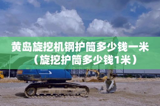 黄岛旋挖机钢护筒多少钱一米（旋挖护筒多少钱1米）