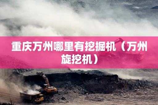 重庆万州哪里有挖掘机（万州旋挖机）